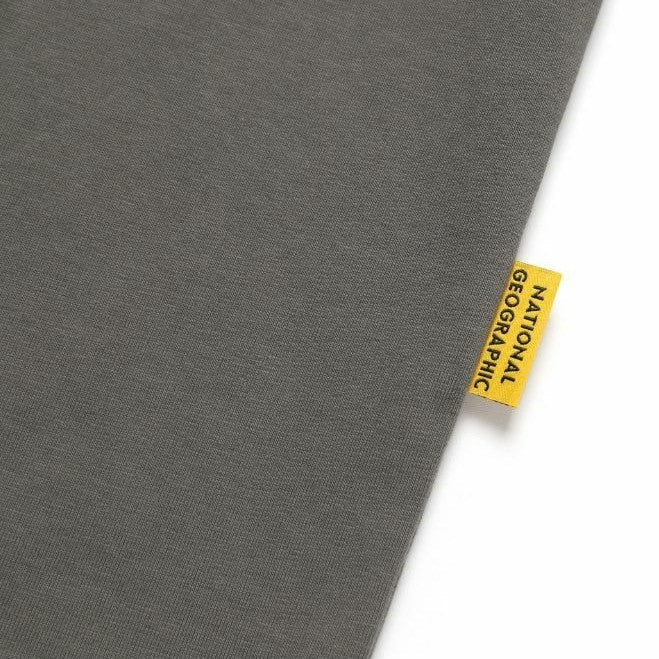 GLACIER CONCEPT GRAPHIC L/TEE STONE GREY