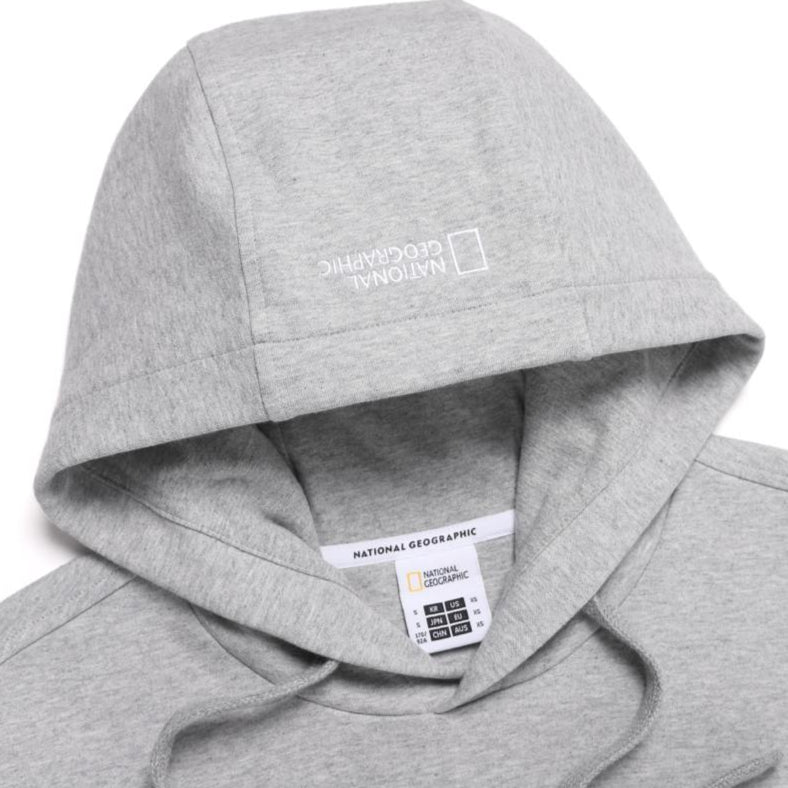 FOLHAS BIG LOGO BASIC FIT HOODIE M/GREY