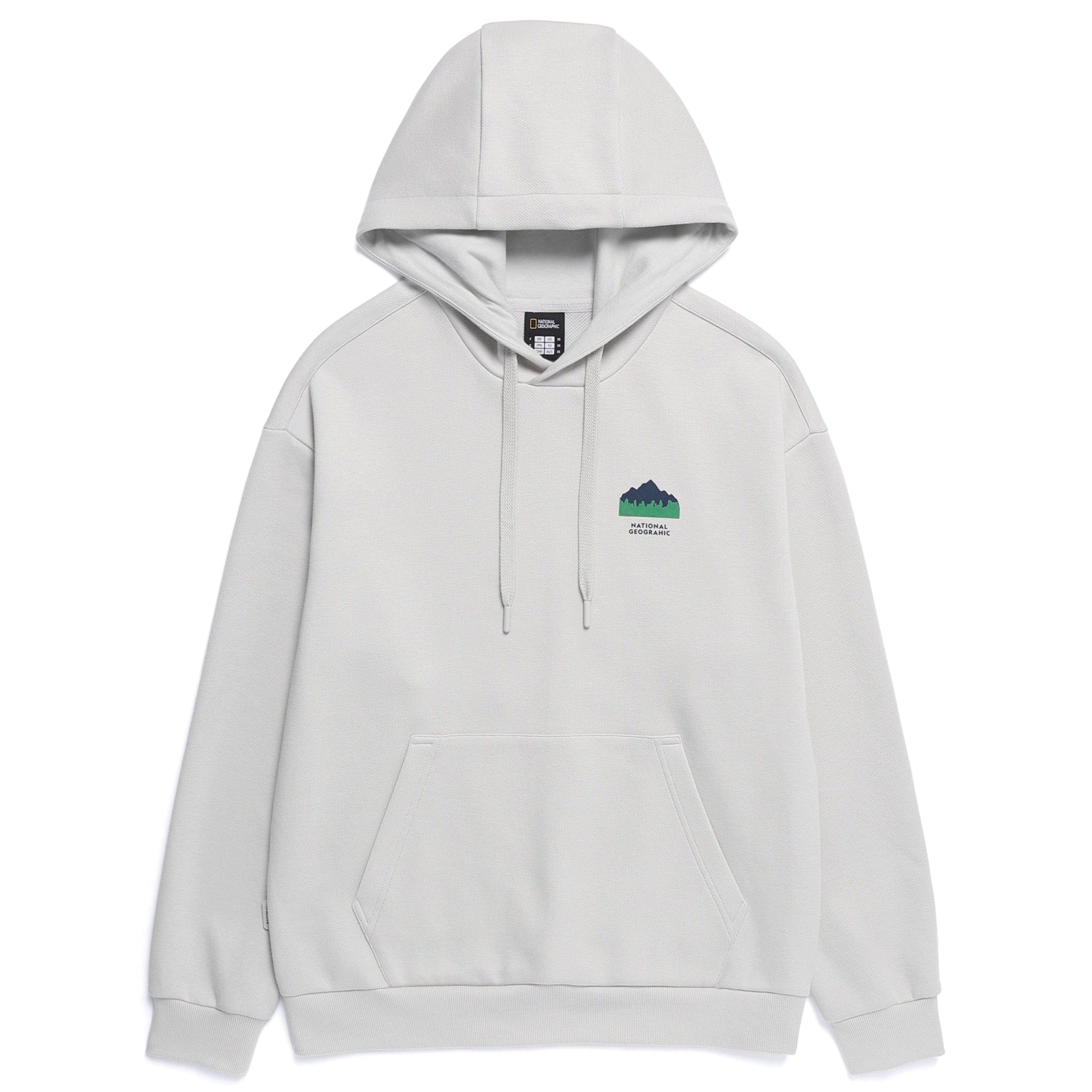 CONCEPT GRAPHIC HOODIE L/GREY