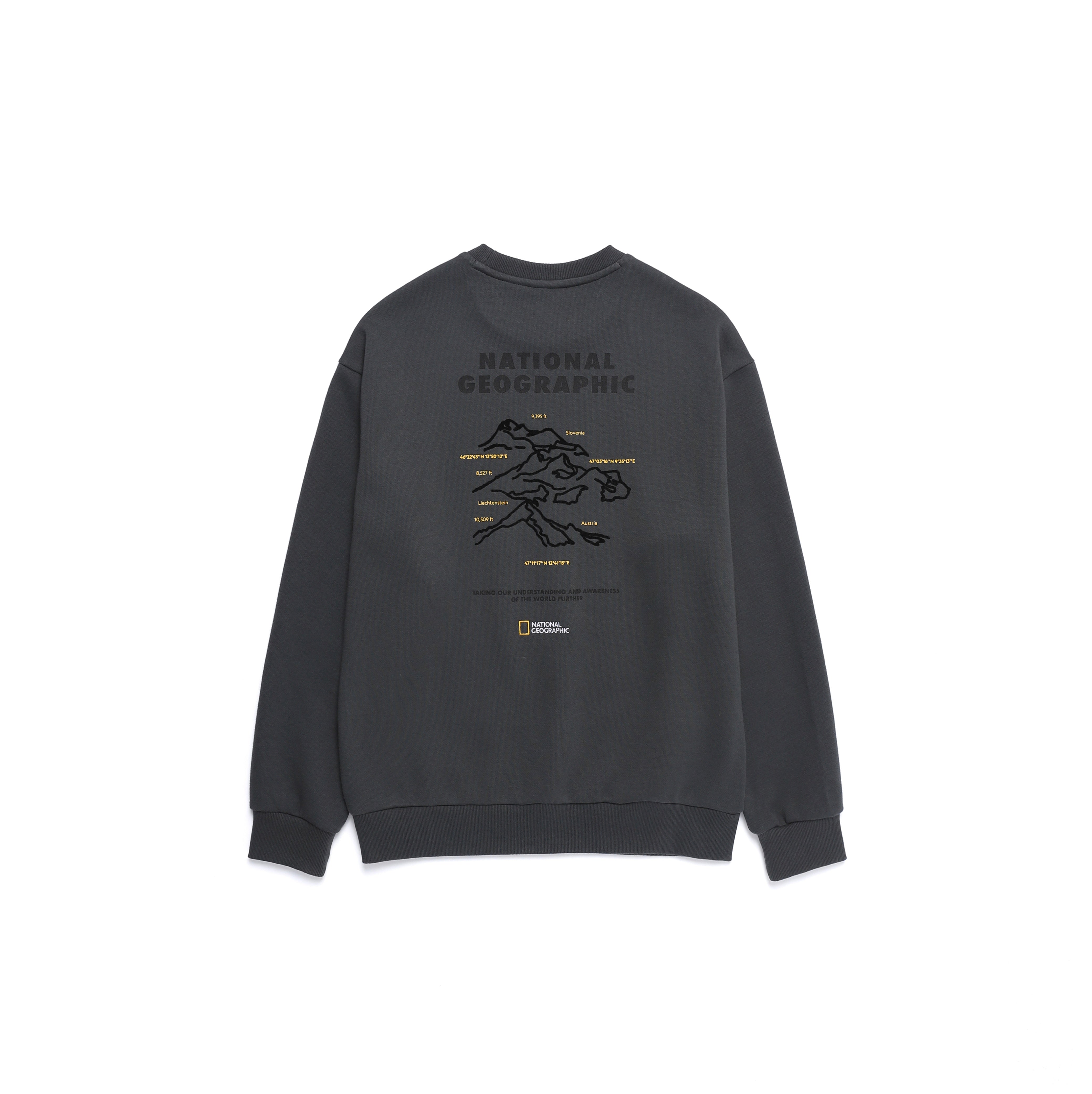 CONCEPT GRAPHIC SWEATSHIRT WOOD GREY
