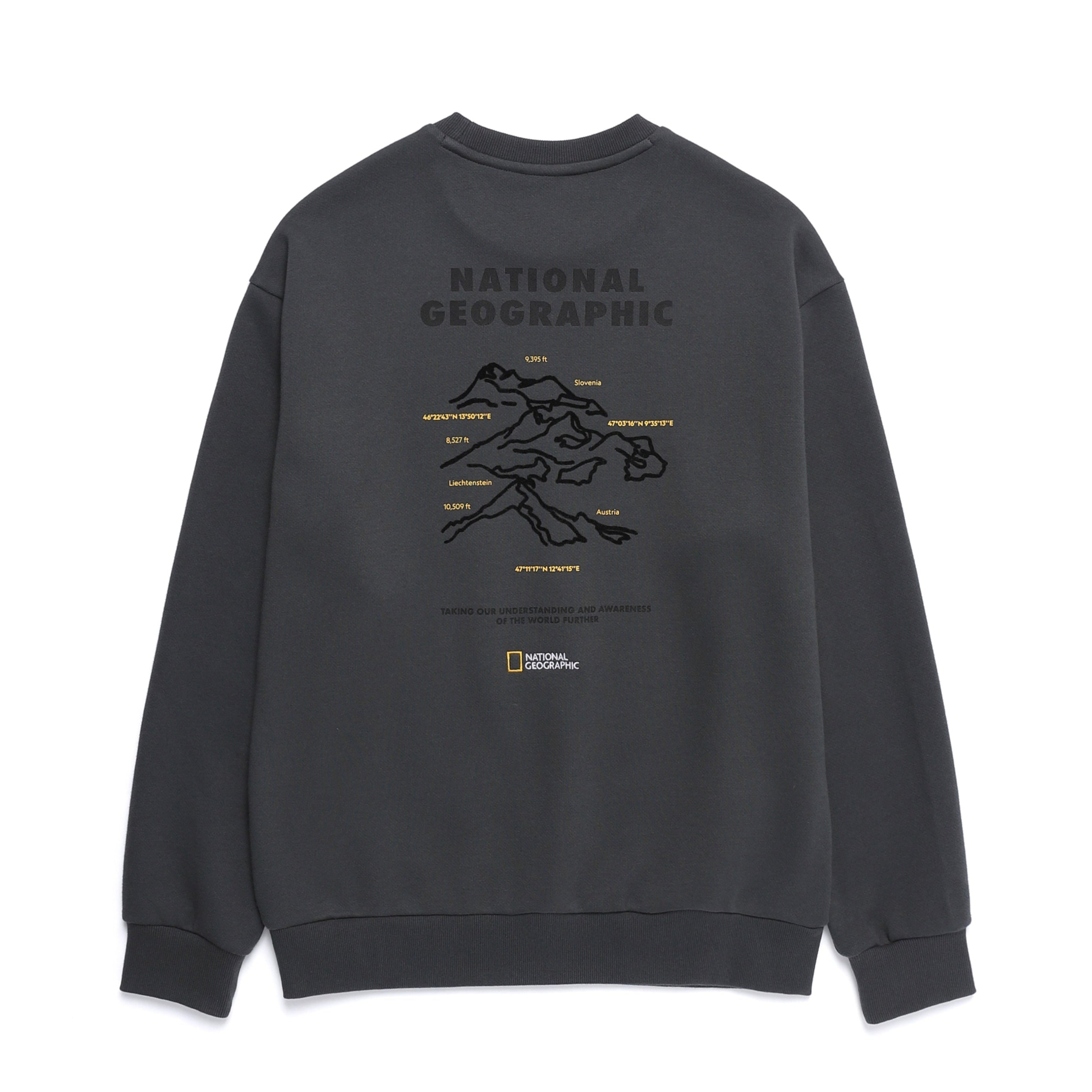 CONCEPT GRAPHIC SWEATSHIRT WOOD GREY
