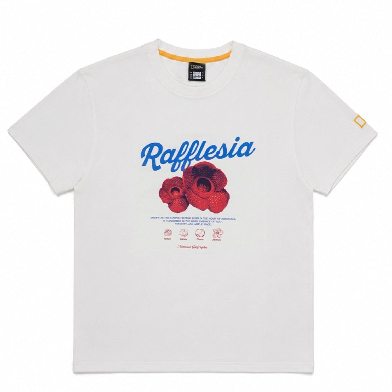 INDONESIA FLOWER SHORT SLEEVE T-SHIRT (BASIC FIT) IVORY