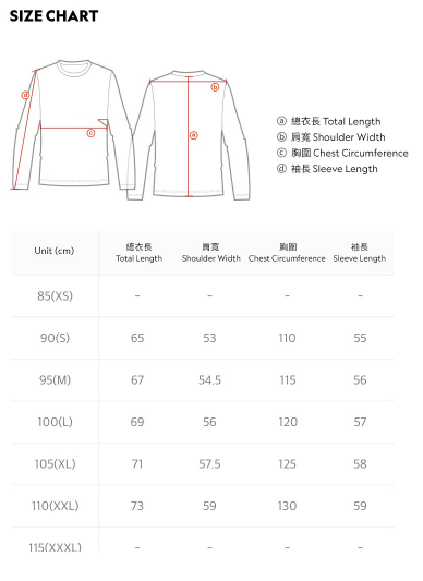 GLACIER CONCEPT GRAPHIC L/TEE STONE GREY