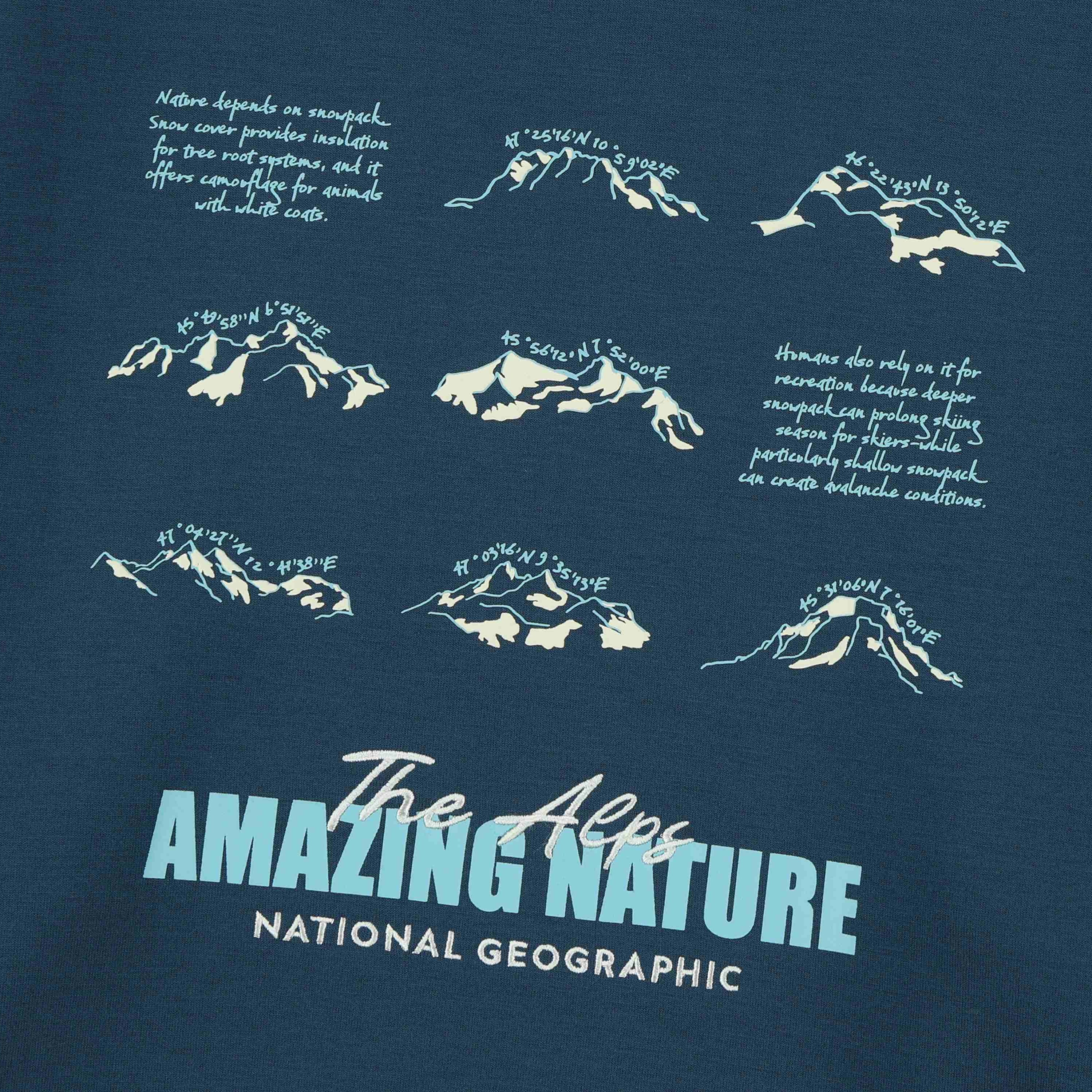 KIDS BACKGRAPHIC SWEATSHIRT (BRUSHED) GREY TEAL