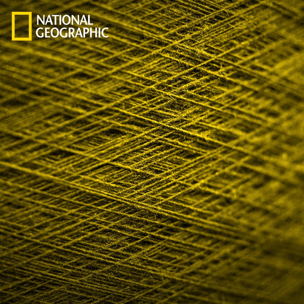 REPREVE: Kain Inovatif Ramah Lingkungan yang Mengubah Dunia Fashion