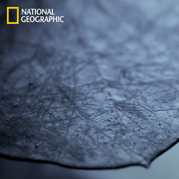 Bukan Sekadar Kain! SORONA Hadirkan Kenyamanan Canggih untuk Gaya Hidup Modern