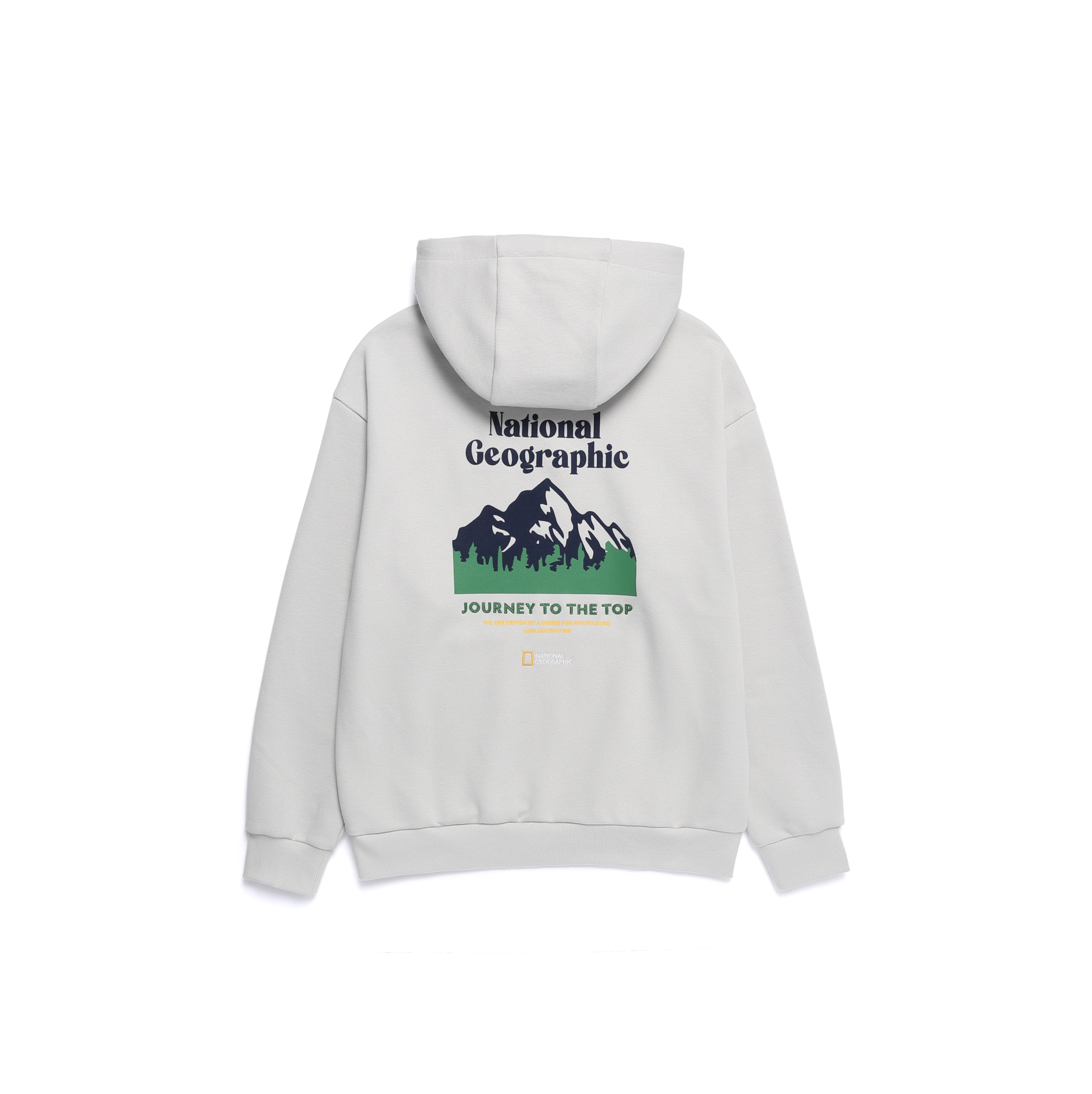 CONCEPT GRAPHIC HOODIE L/GREY