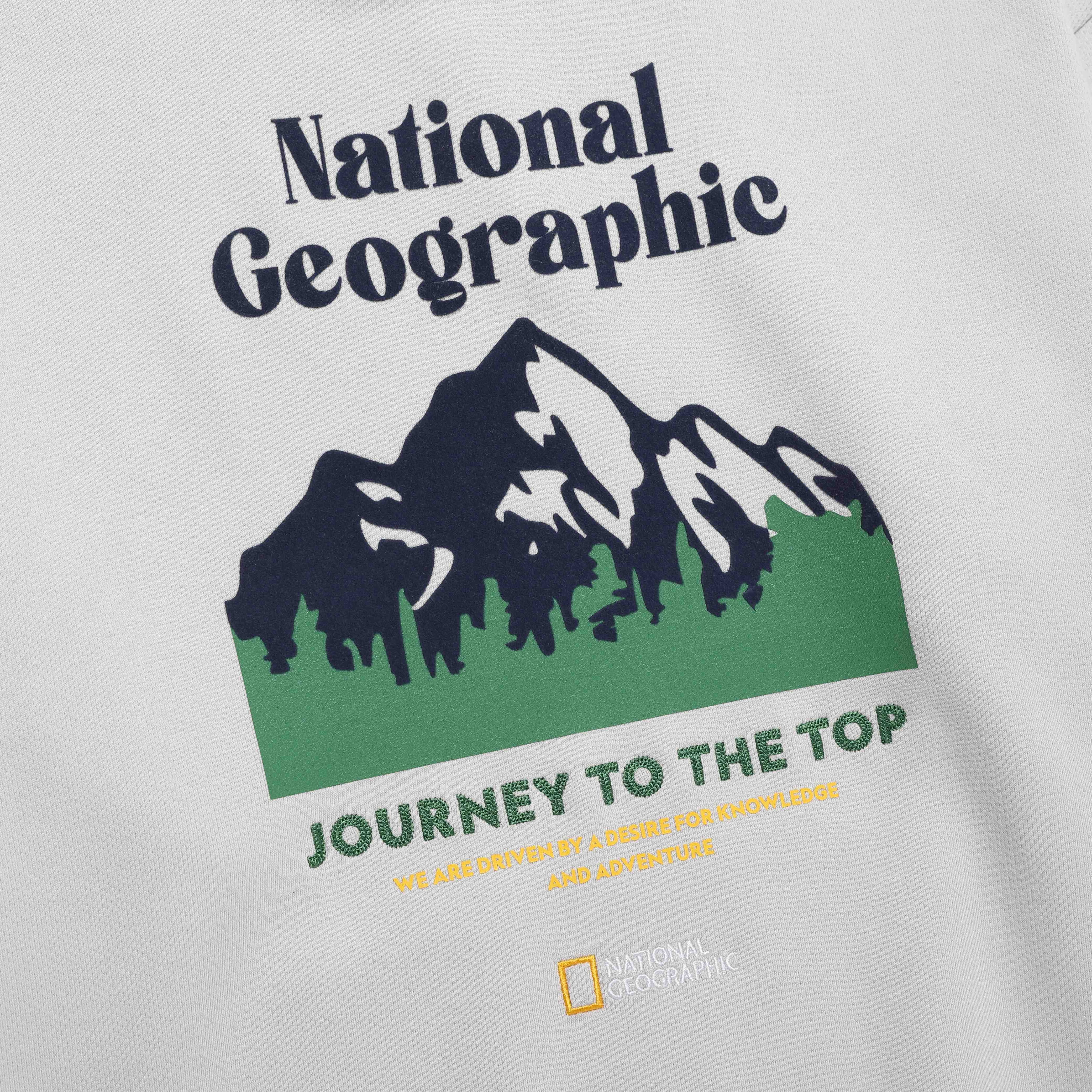 CONCEPT GRAPHIC HOODIE L/GREY