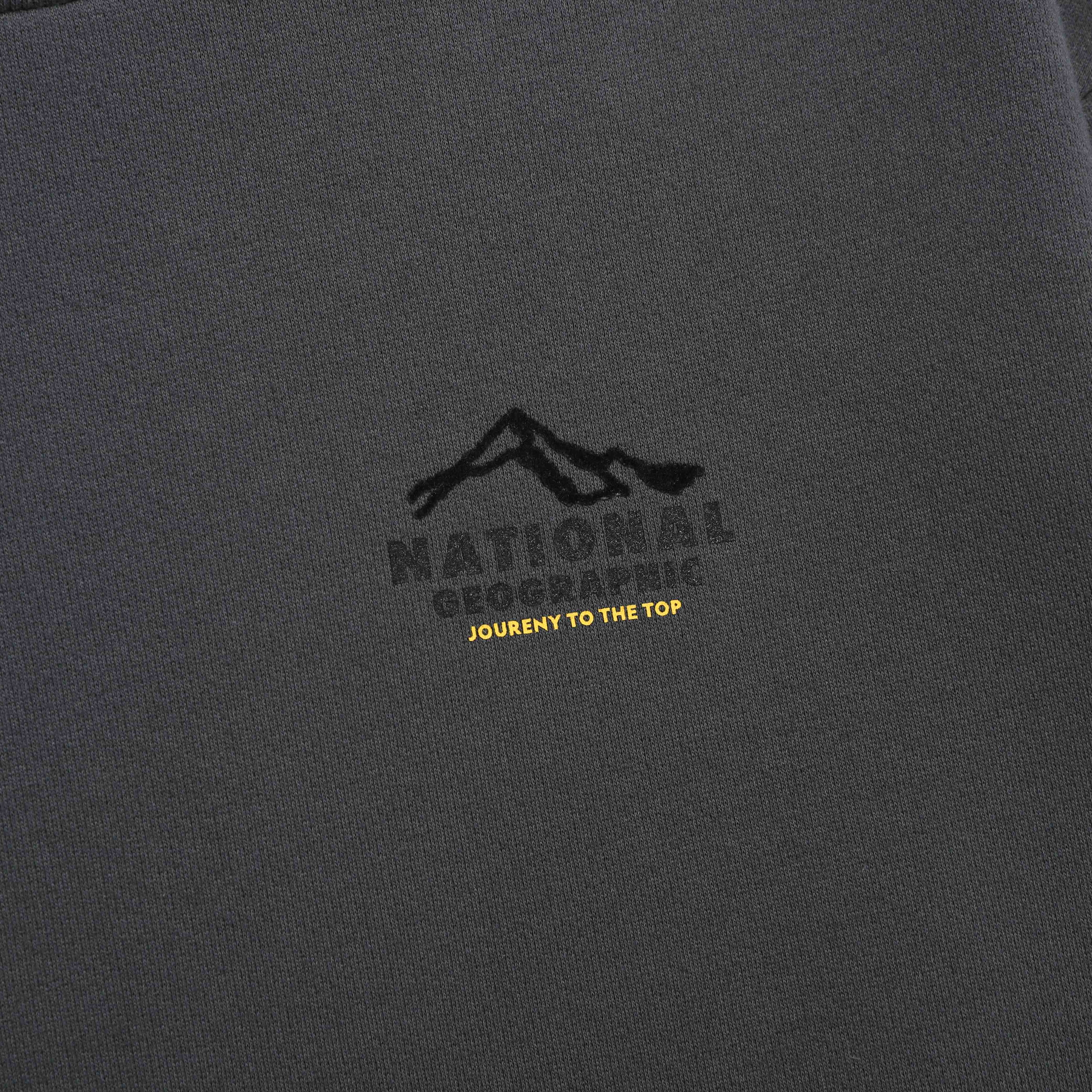 CONCEPT GRAPHIC SWEATSHIRT WOOD GREY