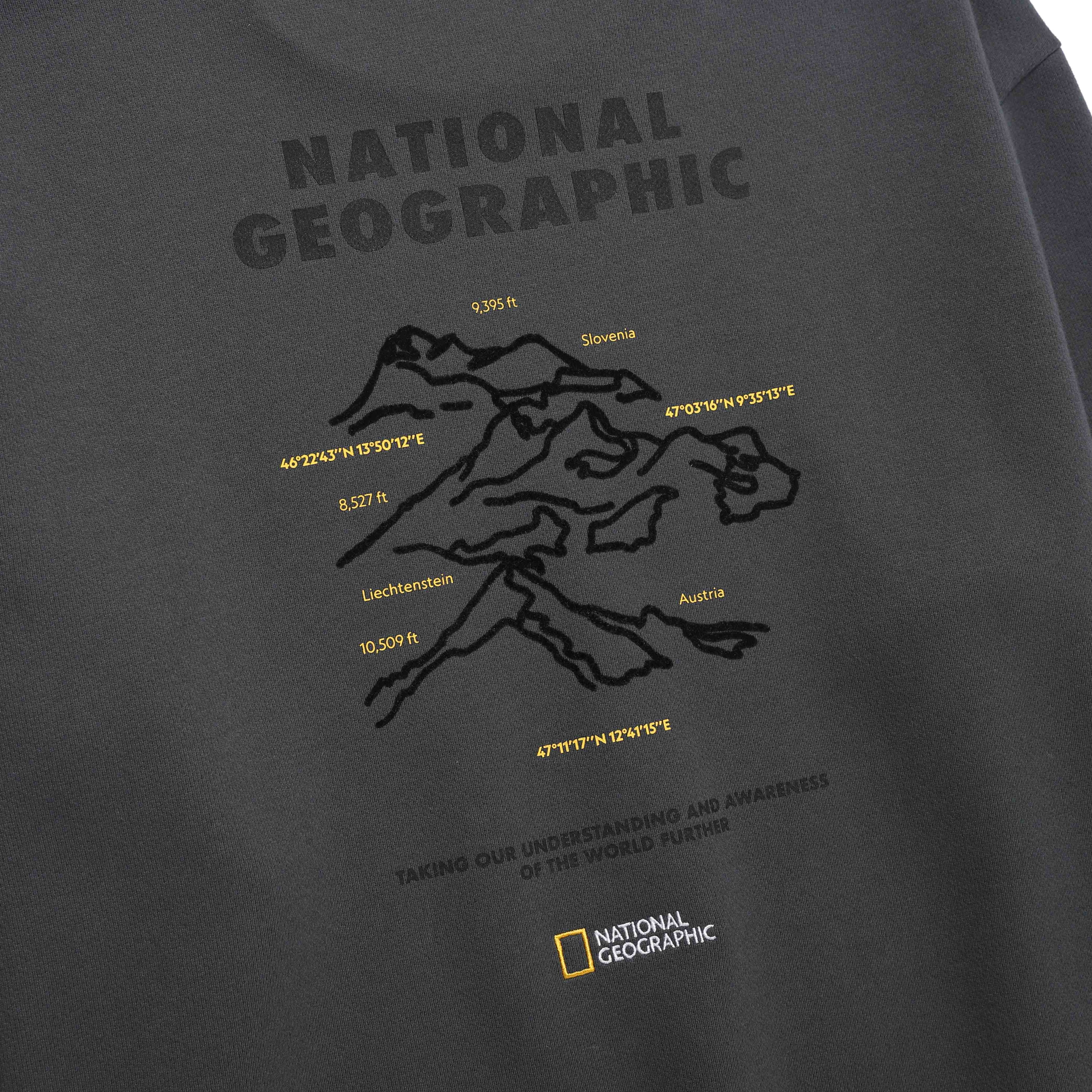 CONCEPT GRAPHIC SWEATSHIRT WOOD GREY