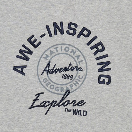 KIDS GRAPHIC SWEATSHIRT M/GREY