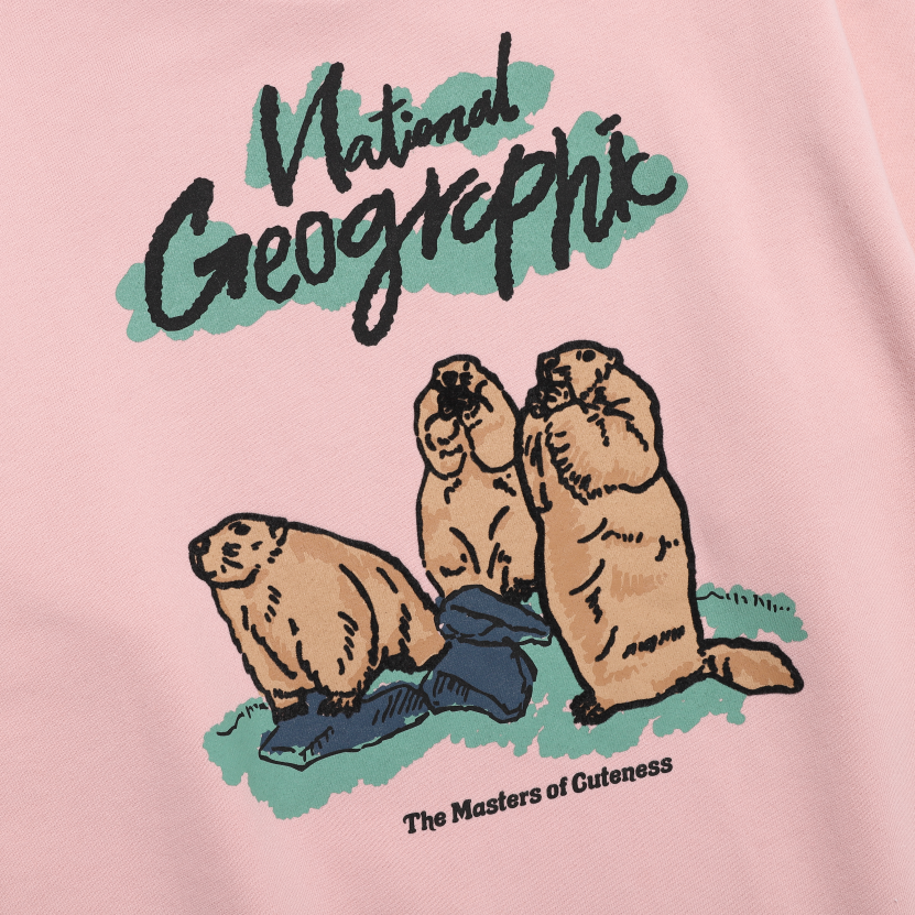 ANIMAL GRAPHIC SWEATSHIRT PINK